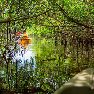 Everglades