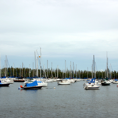 Coconut Grove