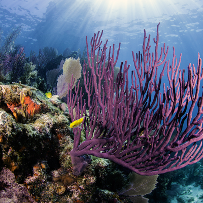 Key Largo